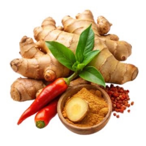 Nông sản gia vị ớt, gừng - Công Ty TNHH Thương Mại Xuất Nhập Khẩu Integrated An Thịnh