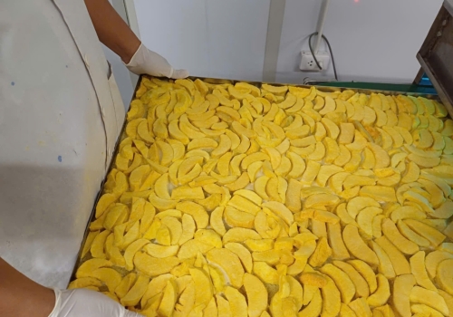 Hình ảnh sản xuất Viza Food