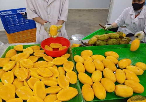 Hình ảnh sản xuất Viza Food