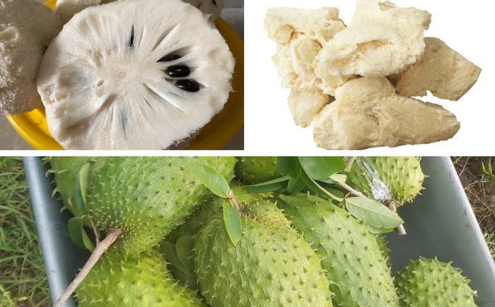 Mãng cầu sấy dẻo vị chua, ngọt