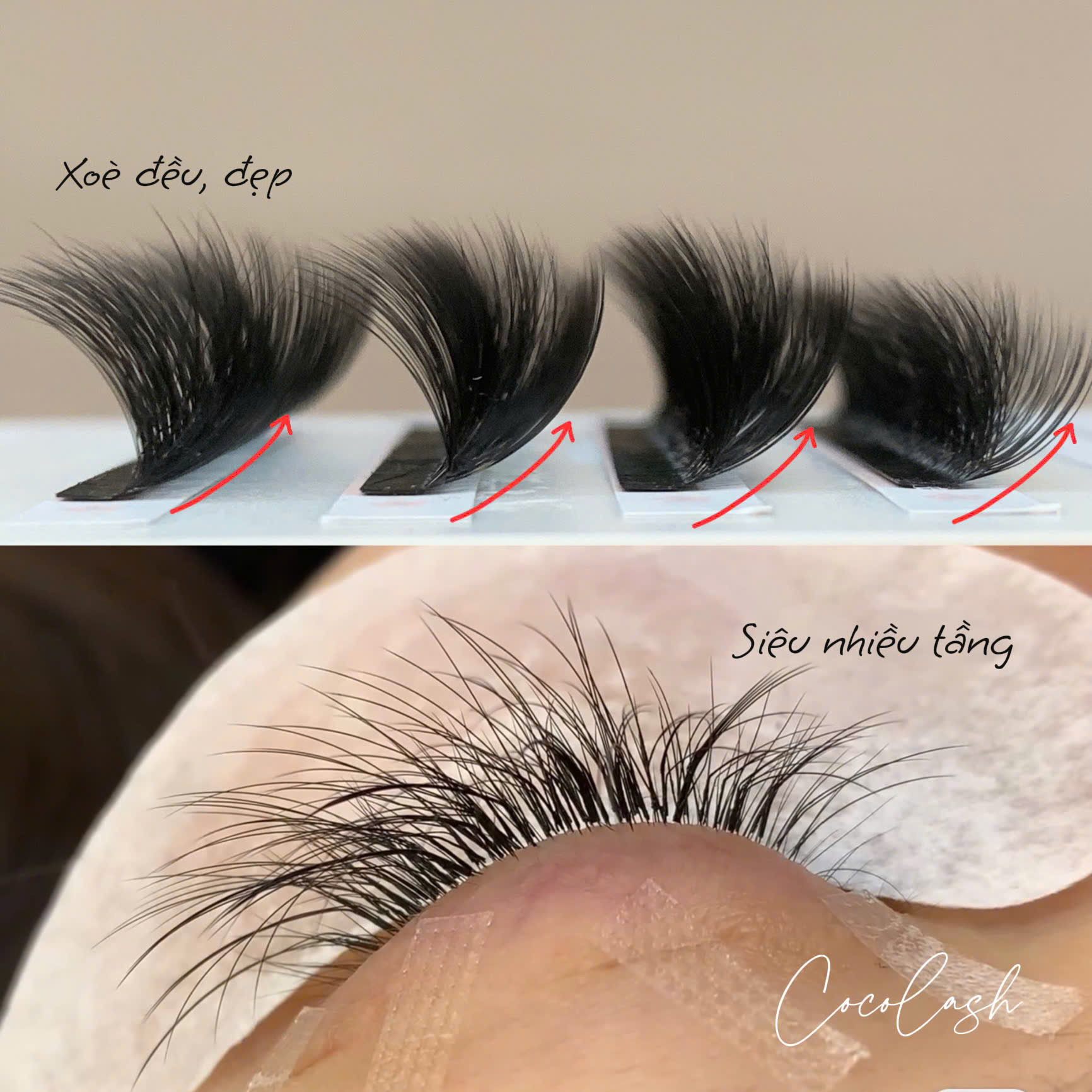 Mi đa tầng - Xưởng Lông Mi Giả CoCo Lashes