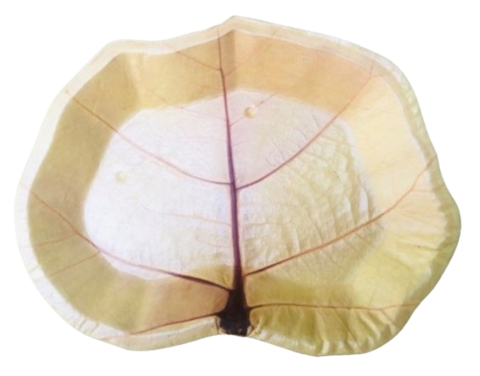 Chén lá tra - Công Ty TNHH Mega Eco