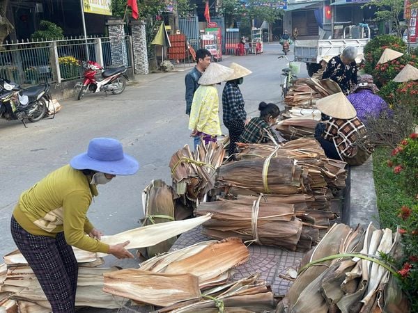 Hình ảnh công ty - Công Ty TNHH Mega Eco