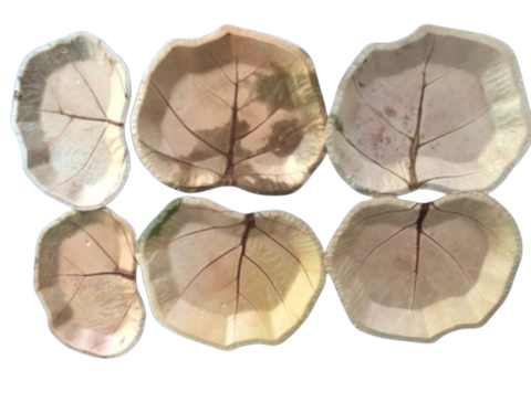 Đĩa lá tra - Công Ty TNHH Mega Eco