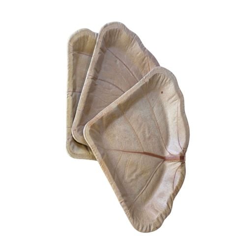 Đĩa lá tra - Công Ty TNHH Mega Eco