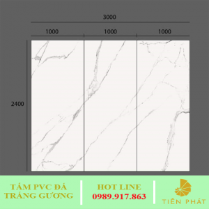 PVC tráng gương TG - Tấm Nhựa ốp Tường Thăng Long - Công Ty Cổ Phần Tư Vấn Xây Dựng Và Nội Thất Thăng Long