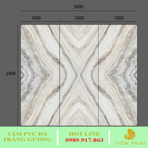 PVC tráng gương TG - Tấm Nhựa ốp Tường Thăng Long - Công Ty Cổ Phần Tư Vấn Xây Dựng Và Nội Thất Thăng Long