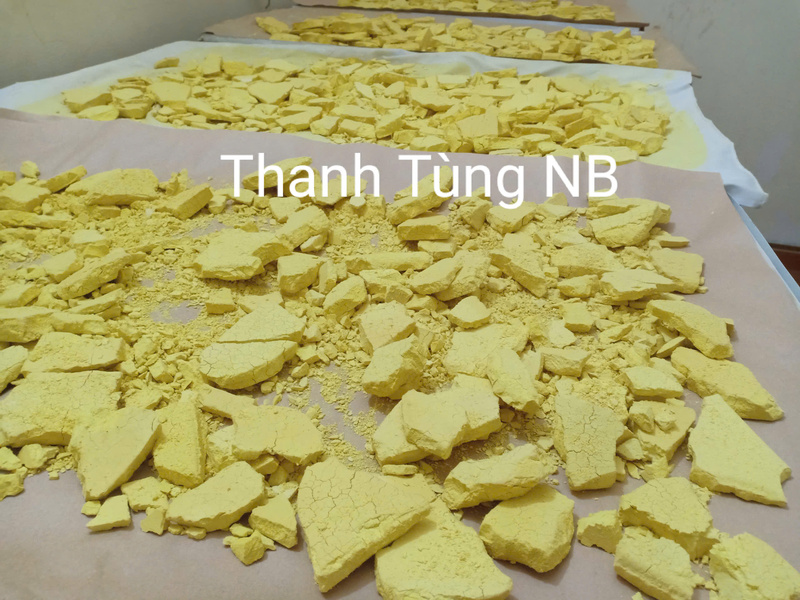 Sấy tinh bột nghệ hữu cơ