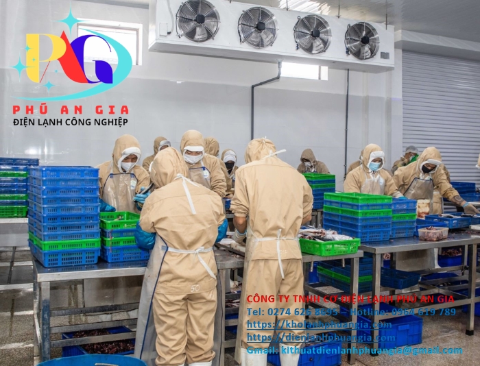 Kho đông lạnh chế biến hải sản - Cơ Điện Lạnh Phú An Gia - Công Ty TNHH Cơ Điện Lạnh Phú An Gia