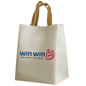 Túi vải Canvas dạng hộp quai đai