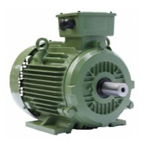 Motor IE3 - Điện Cơ Motor Quang Minh - Công Ty TNHH Điện Cơ Motor Quang Minh