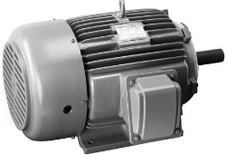 Motor IE4 - Điện Cơ Motor Quang Minh - Công Ty TNHH Điện Cơ Motor Quang Minh