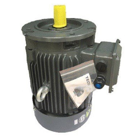 Motor mặt bích - Điện Cơ Motor Quang Minh - Công Ty TNHH Điện Cơ Motor Quang Minh