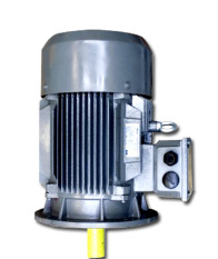 Motor mặt bích - Điện Cơ Motor Quang Minh - Công Ty TNHH Điện Cơ Motor Quang Minh