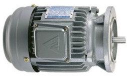 Motor thẳng - Điện Cơ Motor Quang Minh - Công Ty TNHH Điện Cơ Motor Quang Minh