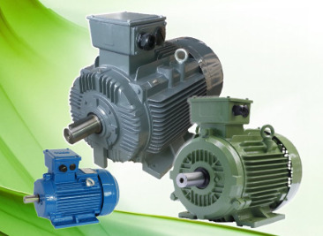 Motor trung, cao thế - Điện Cơ Motor Quang Minh - Công Ty TNHH Điện Cơ Motor Quang Minh