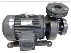 Bơm đầu liền - Điện Cơ Motor Quang Minh - Công Ty TNHH Điện Cơ Motor Quang Minh