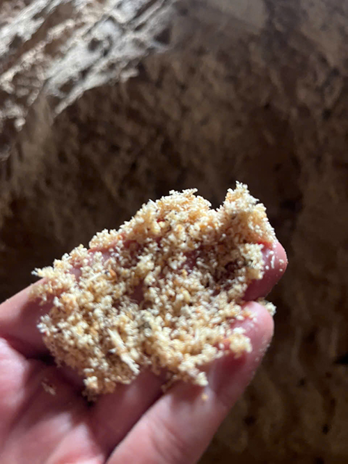 Hình ảnh nhà máy sản xuất công ty Phong Thái Thuận