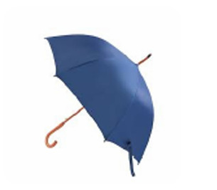 Umbrella - Vật Tư Thiết Bị Phòng Sạch CPN - Công Ty Cổ Phần Thương Mại Xuất Nhập Khẩu CPN