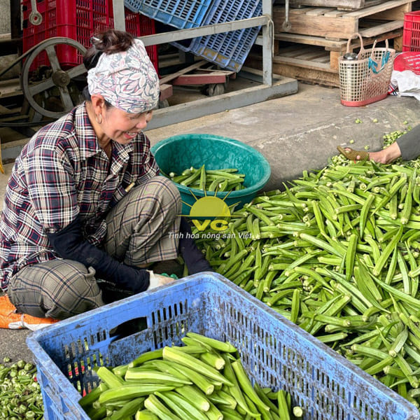 Nông Trường Công Ty TNHH Một Thành Viên Vũ Công - Nhà Máy Sản Xuất Và Chế Biến Nông Sản Vũ Công - Công Ty TNHH Một Thành Viên Vũ Công