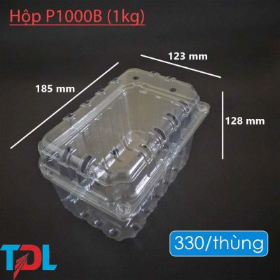 Hộp nhựa P1000B - Bao Bì Tân Đại Long - Công Ty Cổ Phần Đầu Tư Phát Triển Tân Đại Long