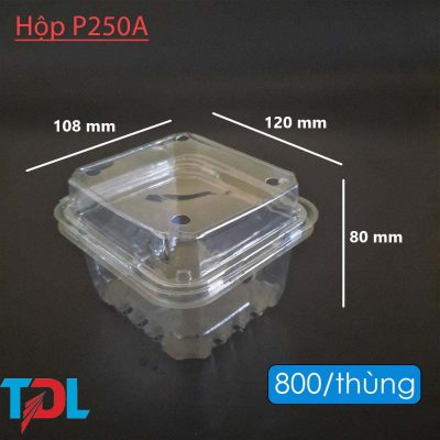 Hộp nhựa P250A - Bao Bì Tân Đại Long - Công Ty Cổ Phần Đầu Tư Phát Triển Tân Đại Long