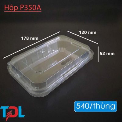 Hộp nhựa P350A - Bao Bì Tân Đại Long - Công Ty Cổ Phần Đầu Tư Phát Triển Tân Đại Long