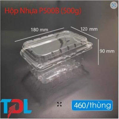 Hộp nhựa P500B - Bao Bì Tân Đại Long - Công Ty Cổ Phần Đầu Tư Phát Triển Tân Đại Long