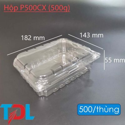 Hộp nhựa P500CX - Bao Bì Tân Đại Long - Công Ty Cổ Phần Đầu Tư Phát Triển Tân Đại Long