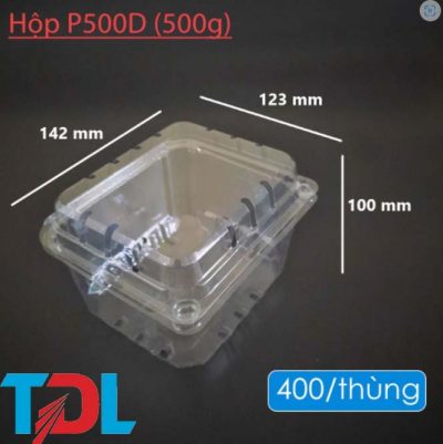 Hộp nhựa P500D - Bao Bì Tân Đại Long - Công Ty Cổ Phần Đầu Tư Phát Triển Tân Đại Long