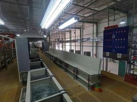 Nhôm oxit hoàn toàn tự động + dây chuyền sản xuất thủ công - Thiết Bị Xi Mạ Trường Thanh Việt Nam - Công Ty TNHH Thiết Bị Máy Móc Môi Trường Thông Minh Trường Thanh Việt Nam