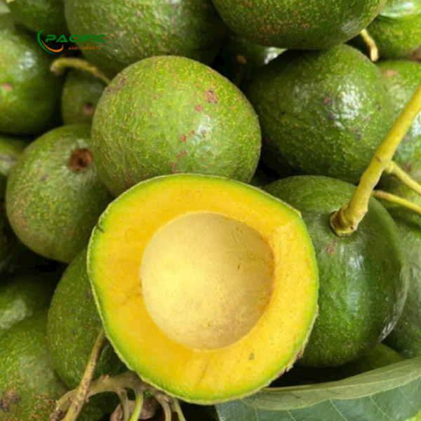 Bơ đông lạnh - Trái Cây Đông Lạnh Pacific Agri - Công Ty TNHH Pacific Agri