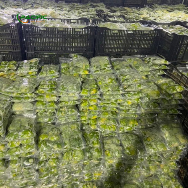 Bơ đông lạnh - Trái Cây Đông Lạnh Pacific Agri - Công Ty TNHH Pacific Agri
