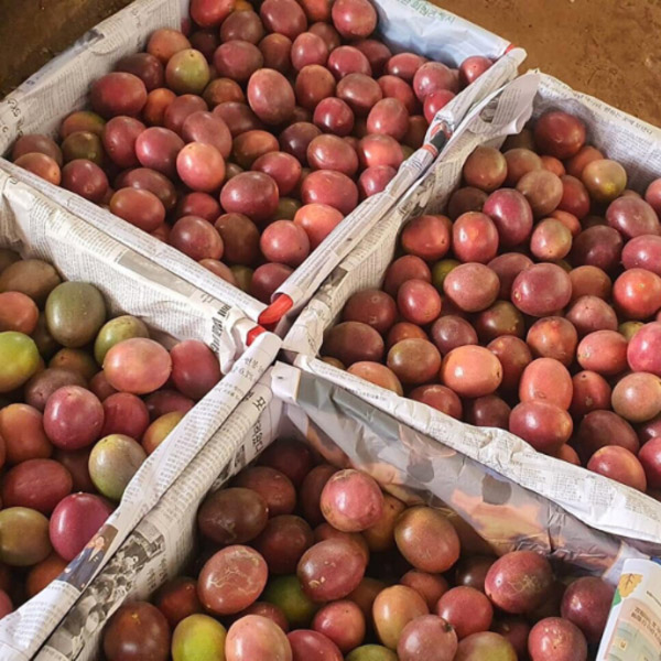 Chanh dây tươi - Trái Cây Đông Lạnh Pacific Agri - Công Ty TNHH Pacific Agri