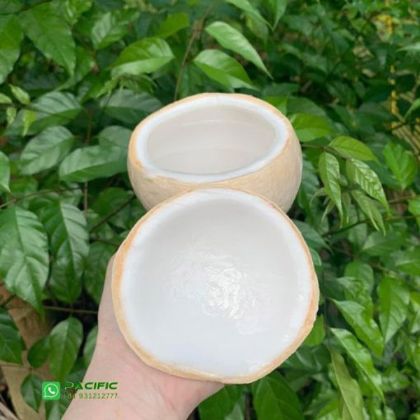 Dừa - Trái Cây Đông Lạnh Pacific Agri - Công Ty TNHH Pacific Agri
