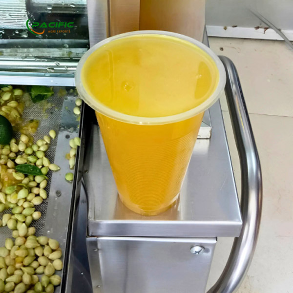 Nước tắc (quất) - Trái Cây Đông Lạnh Pacific Agri - Công Ty TNHH Pacific Agri