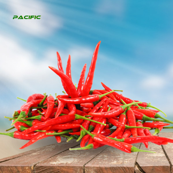ớt đỏ - Trái Cây Đông Lạnh Pacific Agri - Công Ty TNHH Pacific Agri