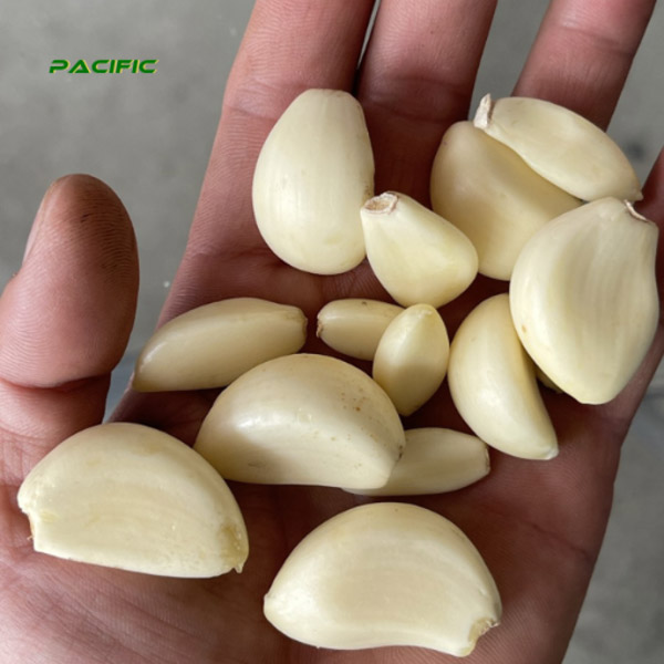 Tỏi - Trái Cây Đông Lạnh Pacific Agri - Công Ty TNHH Pacific Agri