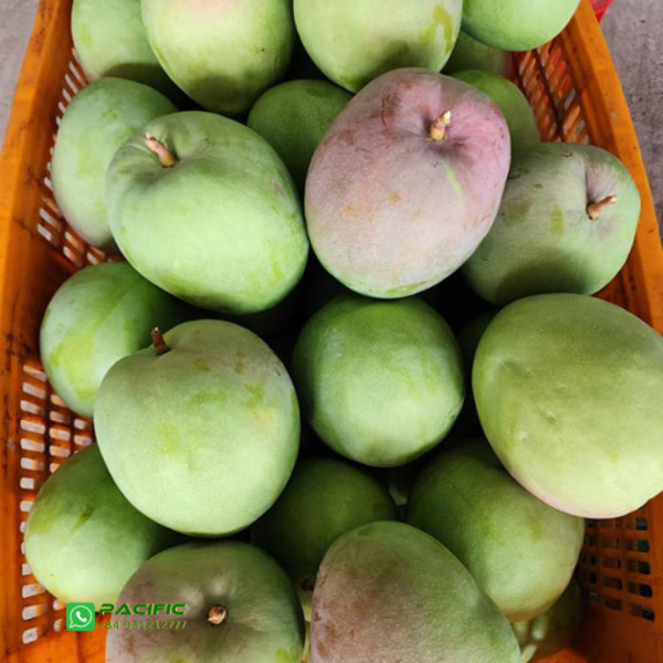Xoài tươi - Trái Cây Đông Lạnh Pacific Agri - Công Ty TNHH Pacific Agri