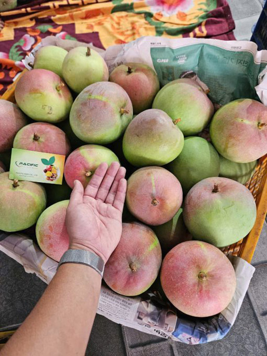 Xoài tươi - Trái Cây Đông Lạnh Pacific Agri - Công Ty TNHH Pacific Agri