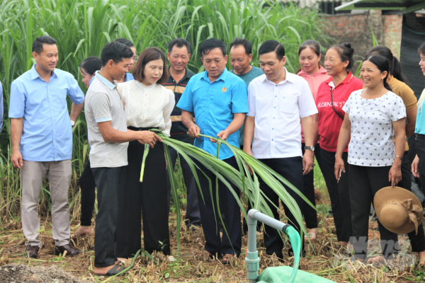  - Thực Phẩm Nga My - Hợp Tác Xã Chăn Nuôi Bò Và Dịch Vụ Sản Xuất Nông Nghiệp Nga My