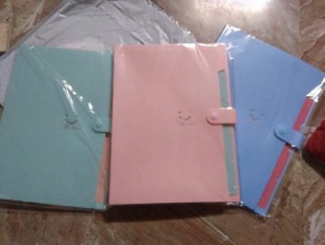 Túi PP đựng bìa hồ sơ - Công Ty TNHH Bao Bì Lâm Phong