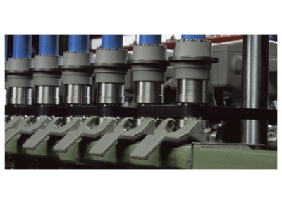 Dây săng - Công Ty TNHH Vũ Minh