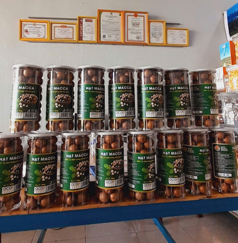 Hạt Macca - Hạt Sacha Inchi - Hợp Tác Xã Thương Mại Dịch Vụ Du Lịch Và Xuất Nhập Khẩu Kim Thông