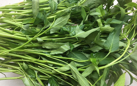 Rau muống - Hạt Sacha Inchi - Hợp Tác Xã Thương Mại Dịch Vụ Du Lịch Và Xuất Nhập Khẩu Kim Thông