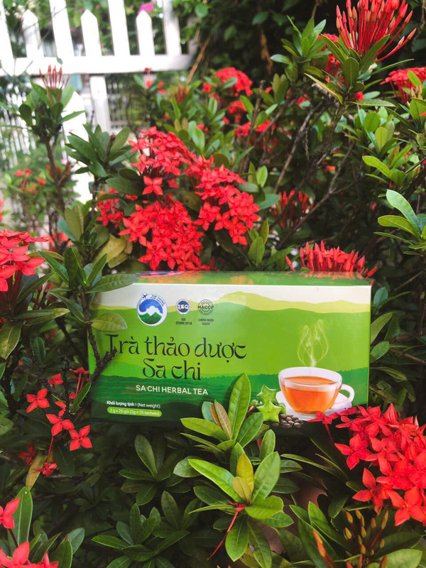 Trà thảo dược Sachi - Hạt Sacha Inchi - Hợp Tác Xã Thương Mại Dịch Vụ Du Lịch Và Xuất Nhập Khẩu Kim Thông