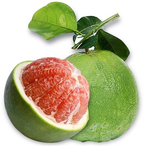 Bưởi