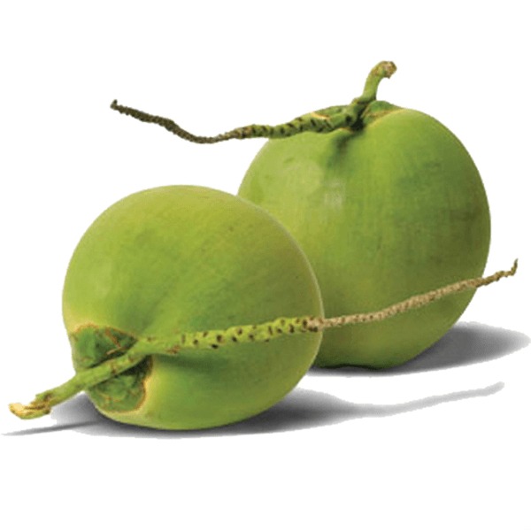 Dừa