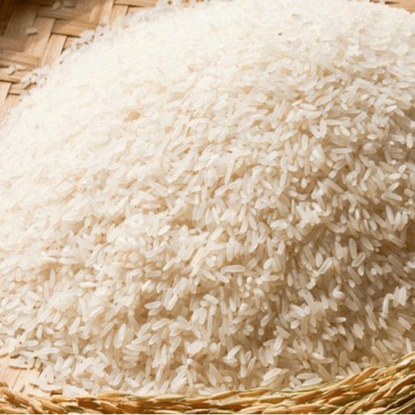 Gạo