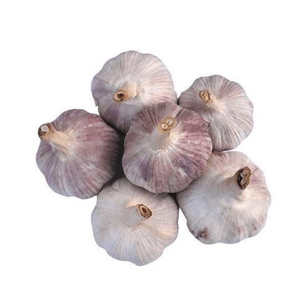 Tỏi
